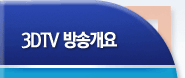 3DTV ��۰���